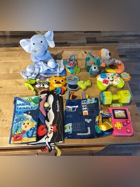 Infant Toy Lot